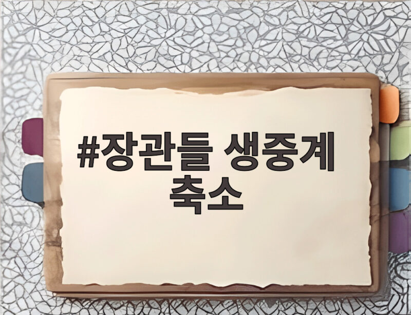 장관들 생중계 축소 건의, 국무회의 공개 범위와 제안 배경은? 참고 이미지 2