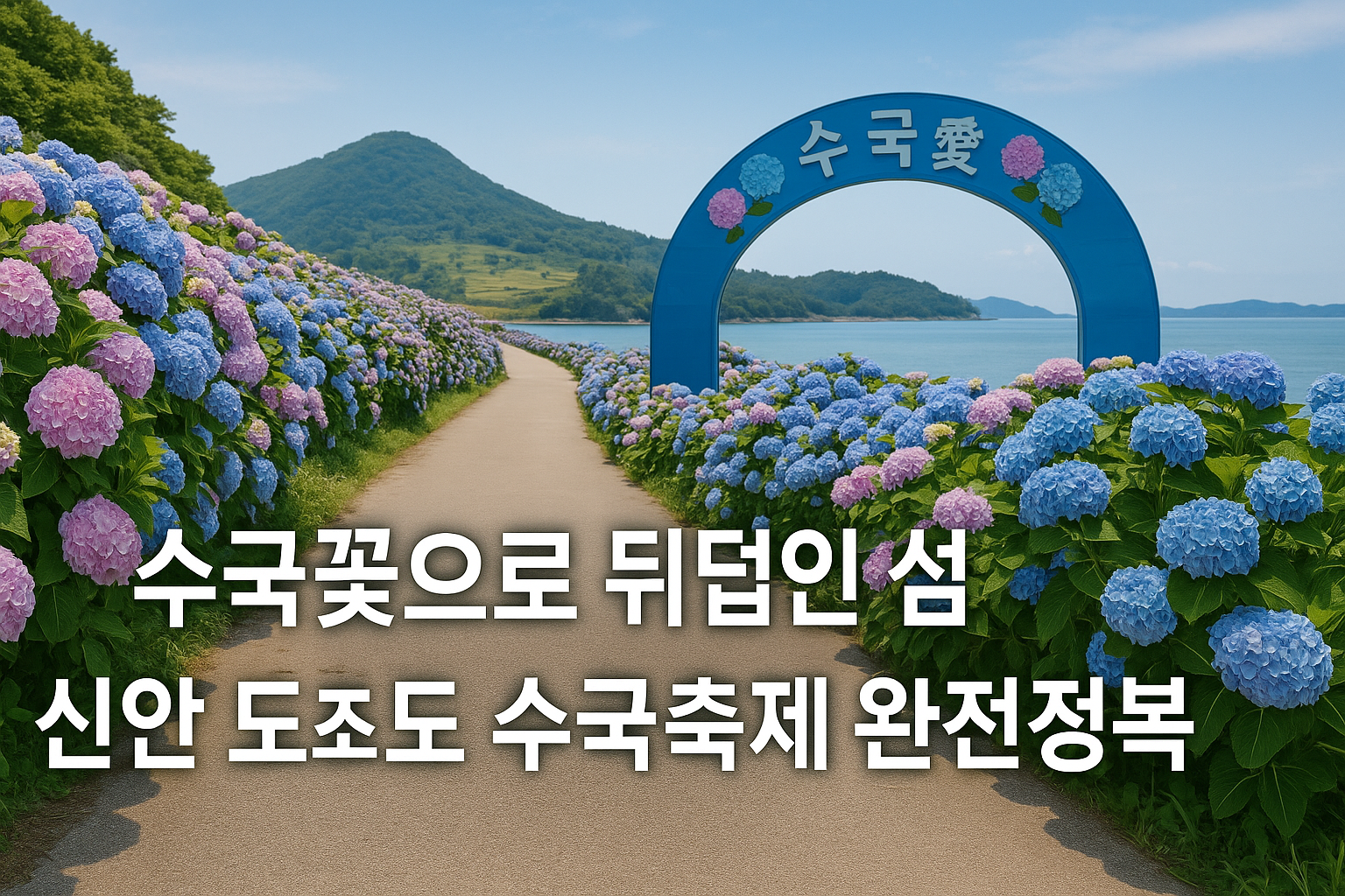 신안 도초도 수국축제 완전정복