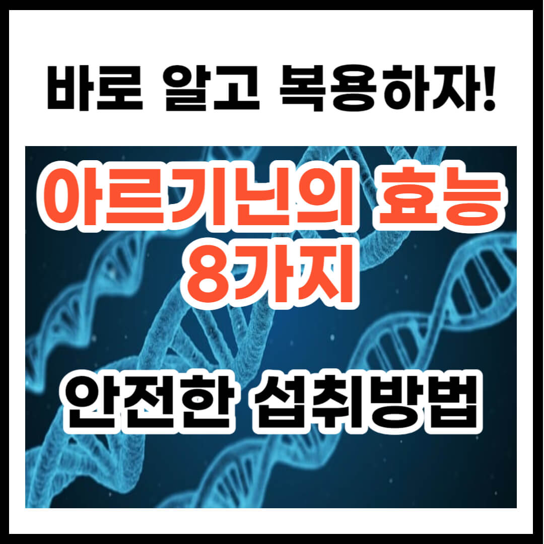 아르기닌의 효능