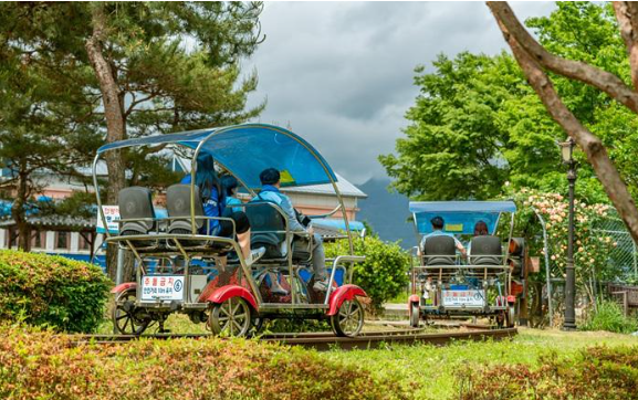 곡성 장미축제 기간