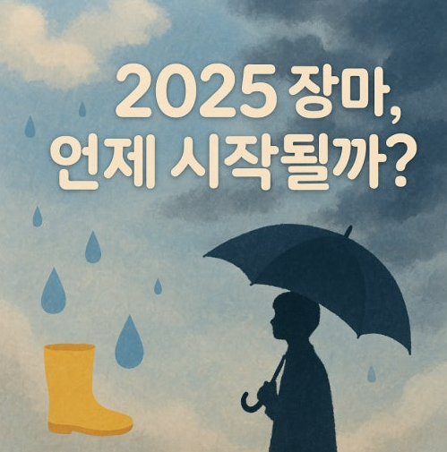 2025 장마 시작 지역별 예상 강수량 장마철 영향 대비