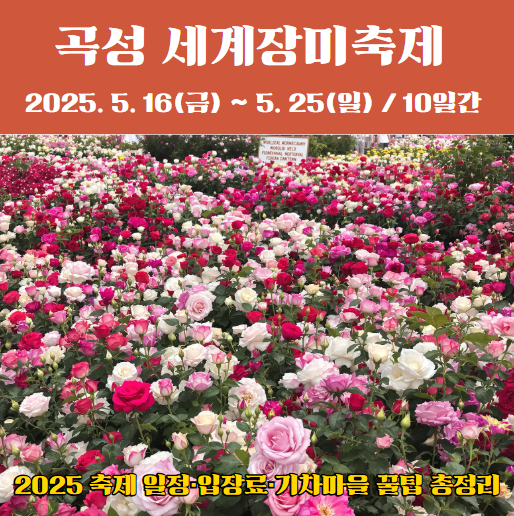 곡성 장미축제