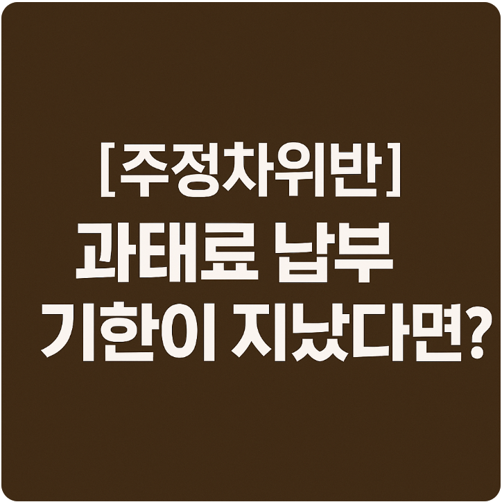 주정차 위반 과태료 납부 기한이 지났다면? 해결 방법 &amp; 사전알리미 활용법