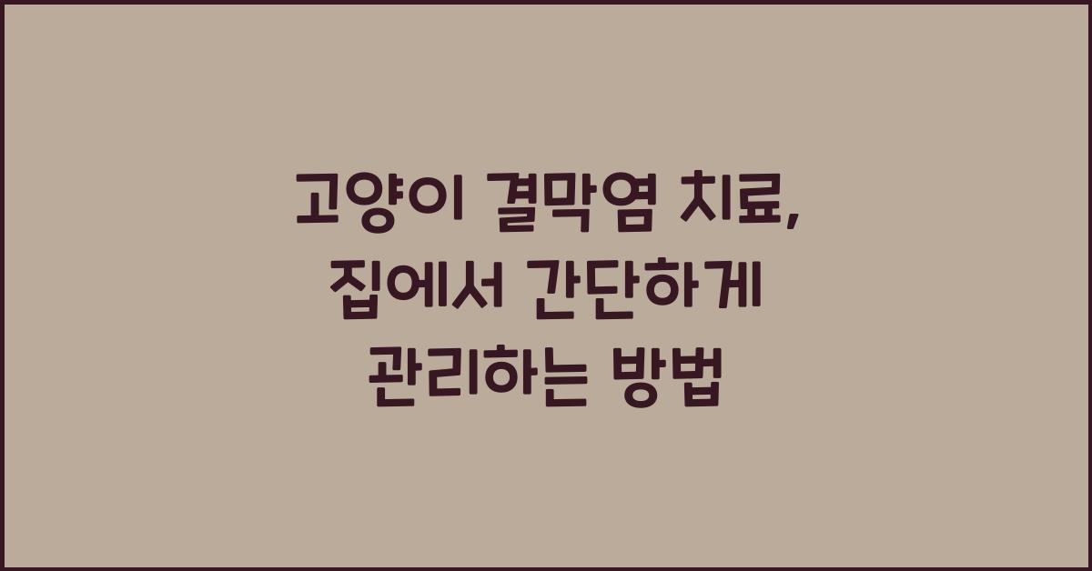 고양이 결막염 치료