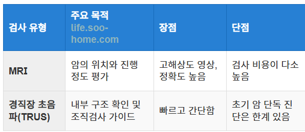 MRI 및 초음파를 활용한 정밀 진단