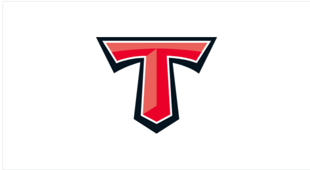 기아 타이거즈 공식 엘블럼