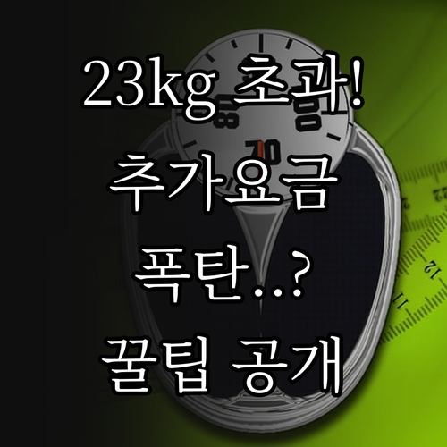 우즈베키스탄항공 위탁 수하물 23kg..