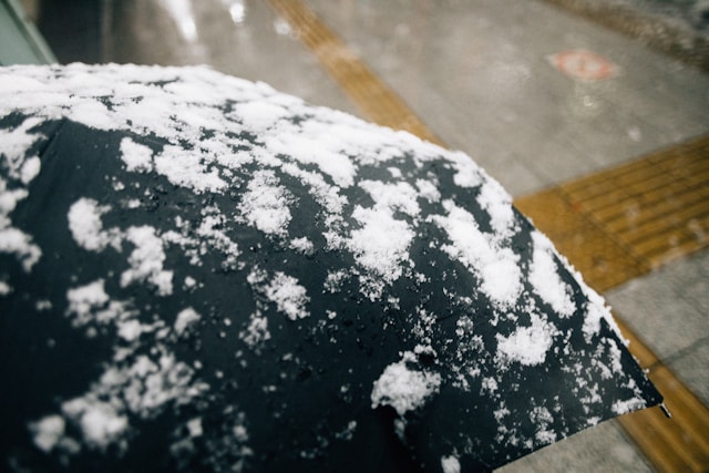 서울 대설특보 실시간 교통 통제와 필수 대처법