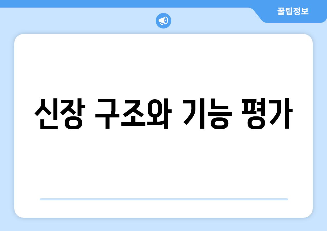 신장 구조와 기능 평가