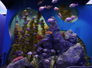 울진 가볼만한곳