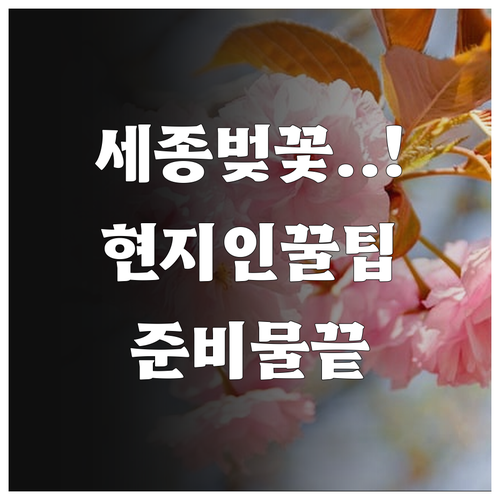 세종 호수공원 벚꽃 나들이 코스 및 ..