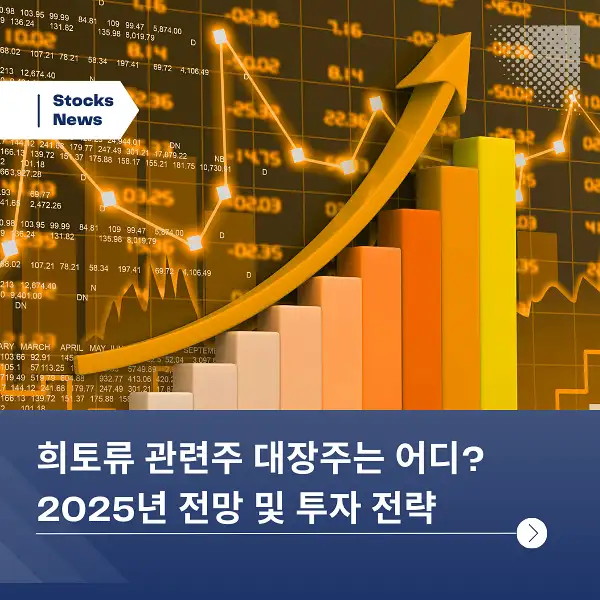 희토류 관련주 대장주