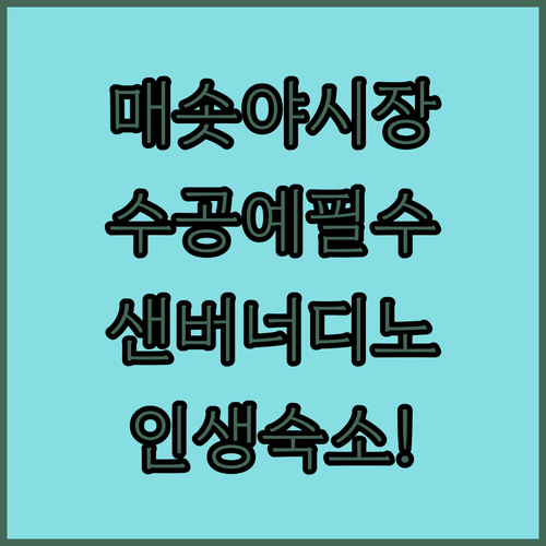 매솟 야시장 수공예 기념품 리스트와 ..