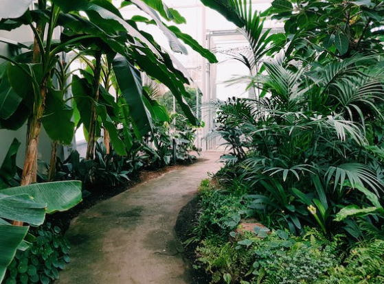 마당 조경 인테리어