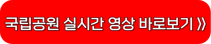 국립공원-실시간-영상-보기-링크-버튼