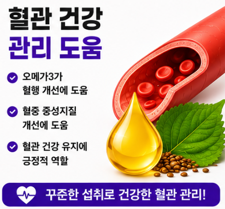 혈관 관리에 도움