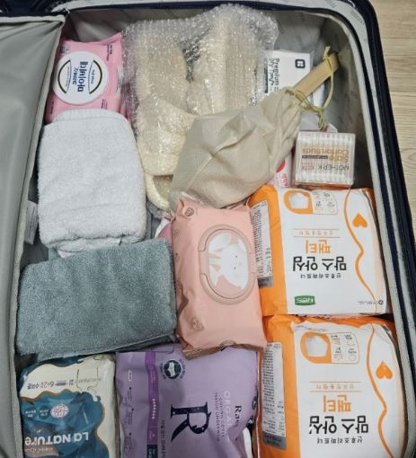 출산 가방 캐리어 선택 팁