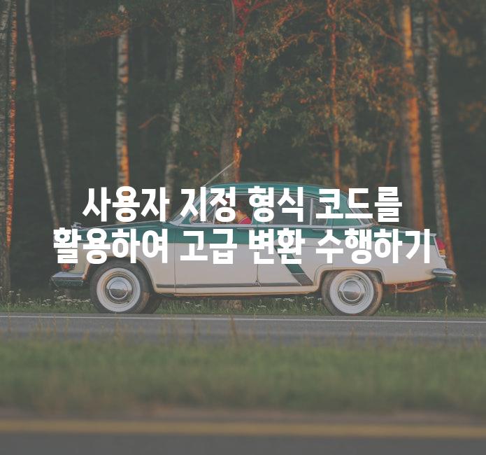 사용자 지정 형식 코드를 활용하여 고급 변환 수행하기