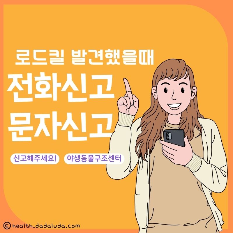 고양이 로드킬 신고 동물 사체 처리 보상