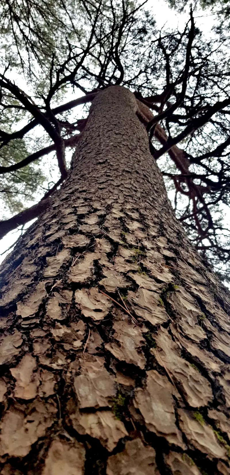 울산 영축산과 신불산