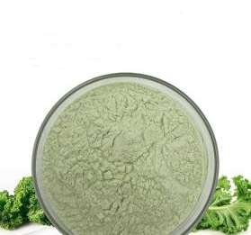 곱슬케일 분말 먹는법