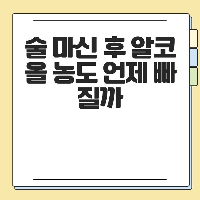 술 마신 후 알코올 농도 언제 빠질까