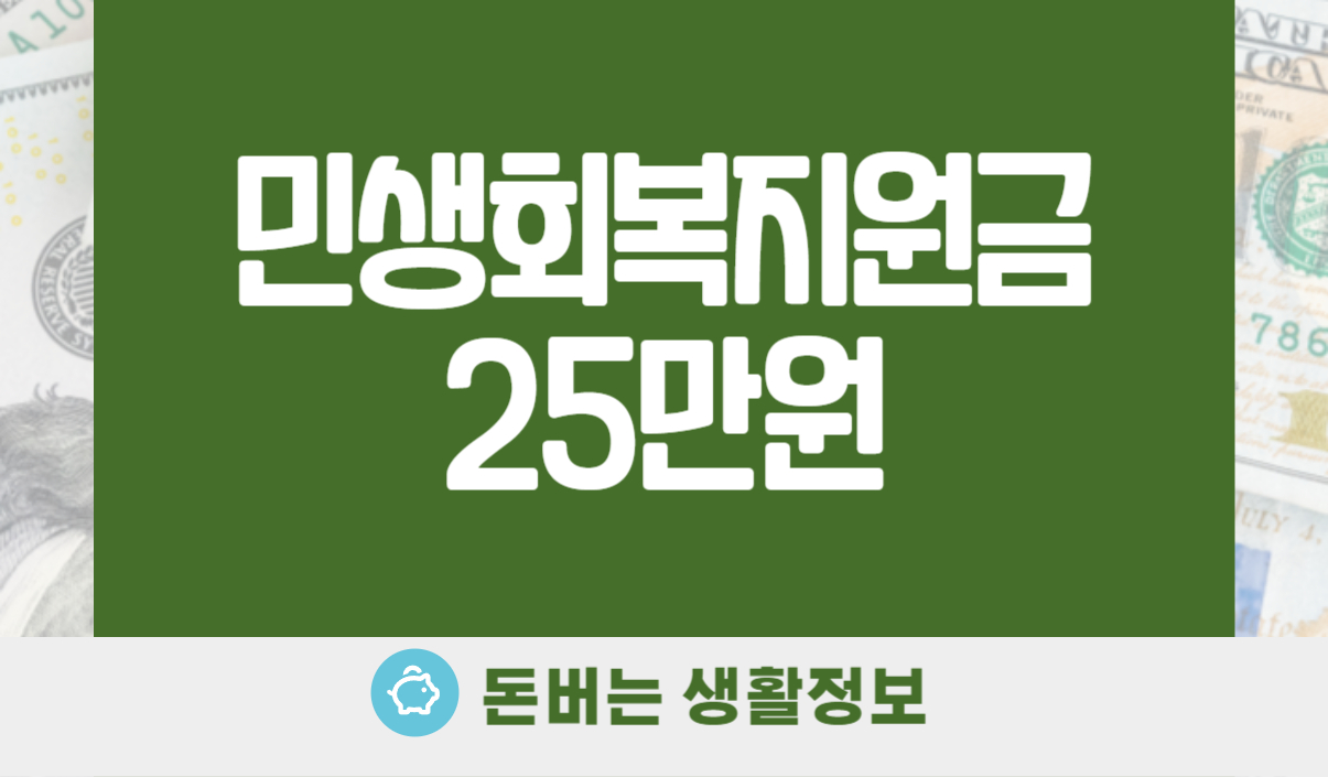 민생회복지원금 25만원