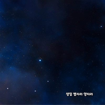 생일 별자리로 알아보는 성격 - 양자리