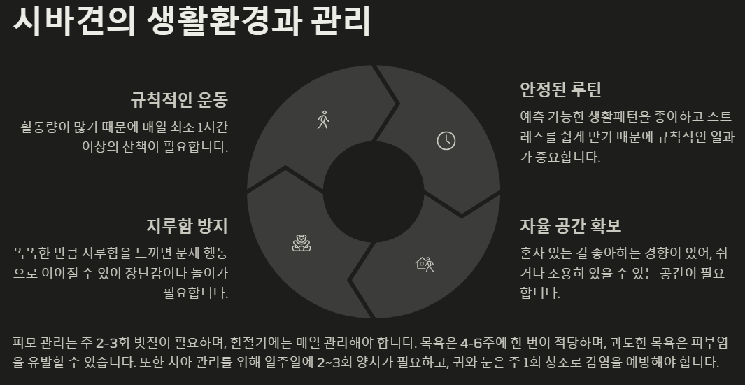 시바견 생활환경 사진