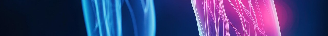 콘드로이친 효능 이미지