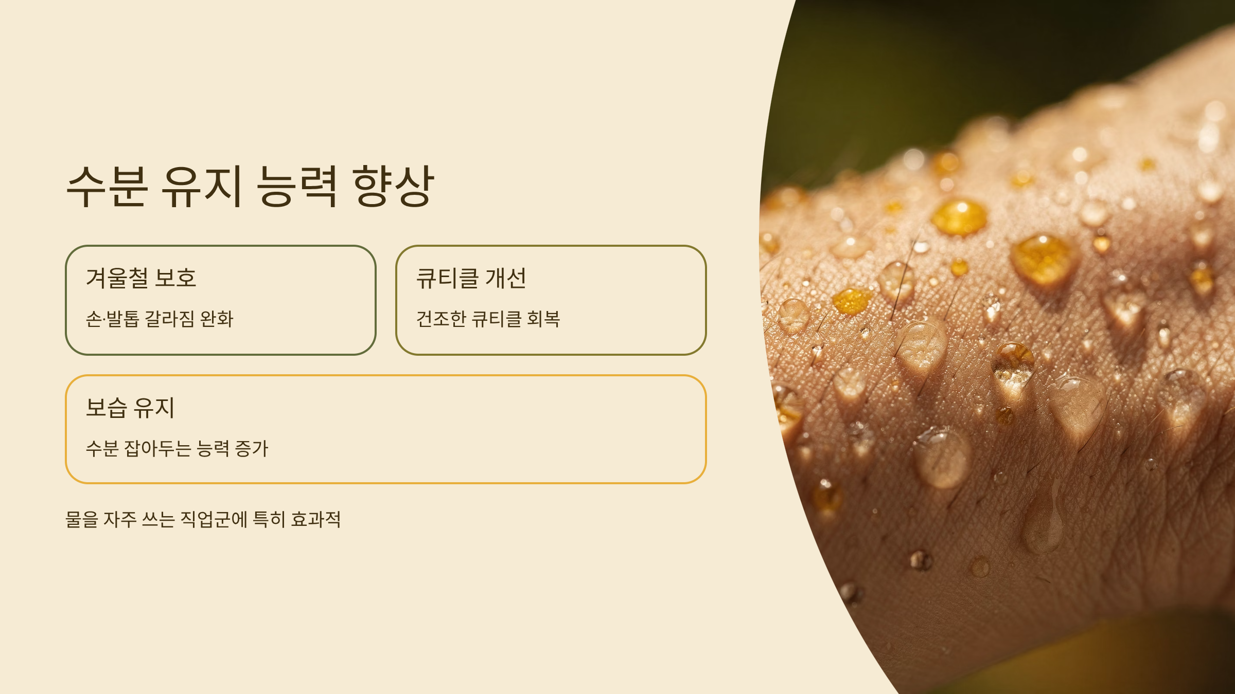 케라넷 수분 유지 능력 향상