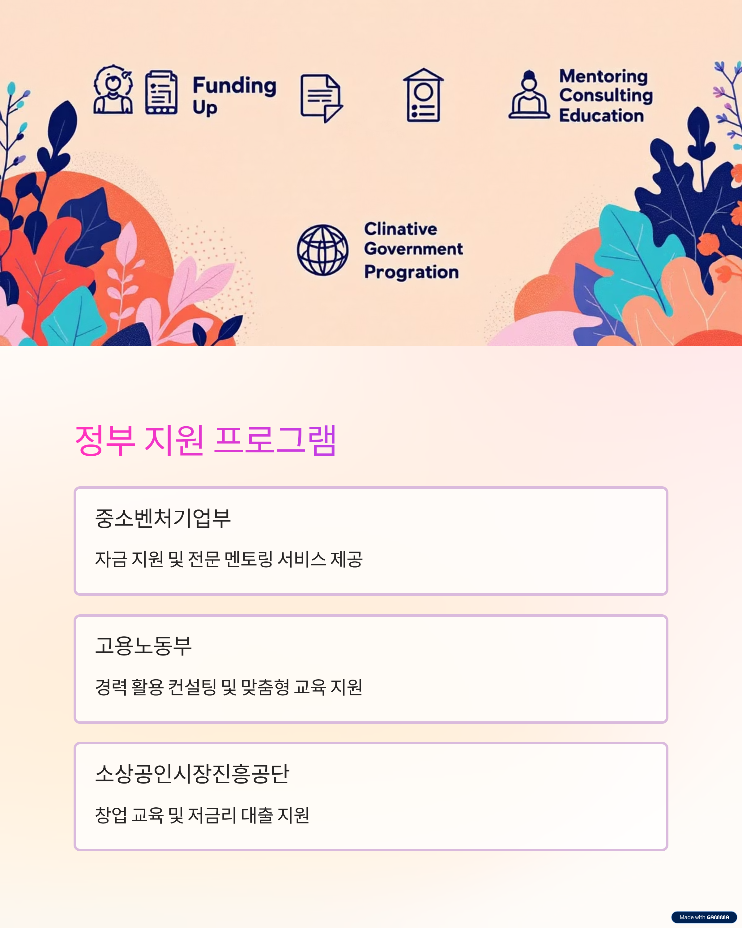 정부 지원 프로그램