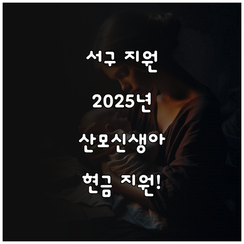 서구 2025 산모신생아 건강관리 지..