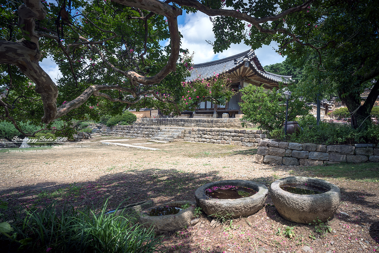 #논산 #명재고택 #고택 #배롱꽃