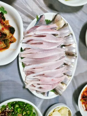 6월 제철회 종류별 신선한 해산물의 맛있는 향연_22