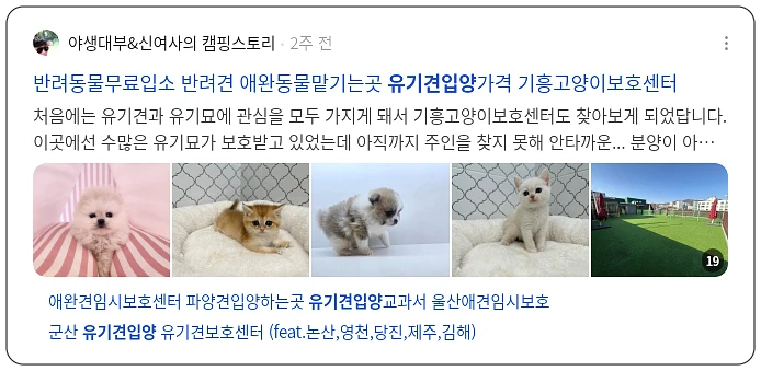 유기견 입양_3_subsection
