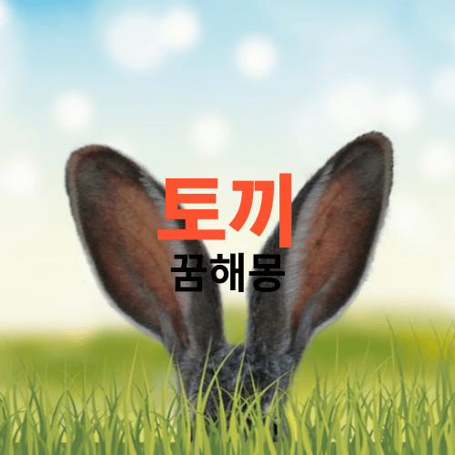 토끼 꿈해몽 풀이(꿈에 토끼가 나오면 태몽 일까요?, 아님 흉몽 일까요?)