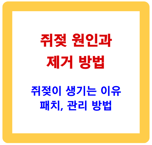 쥐젖의 원인과 제거 방법 가이드 (패치, 관리법 포함)