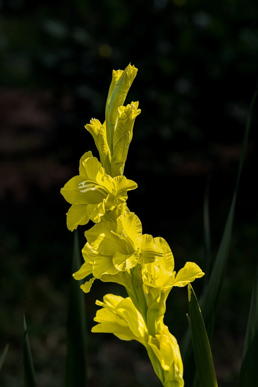 송파구 9시 이후 늦게까지 운영하는 맛집 Best4