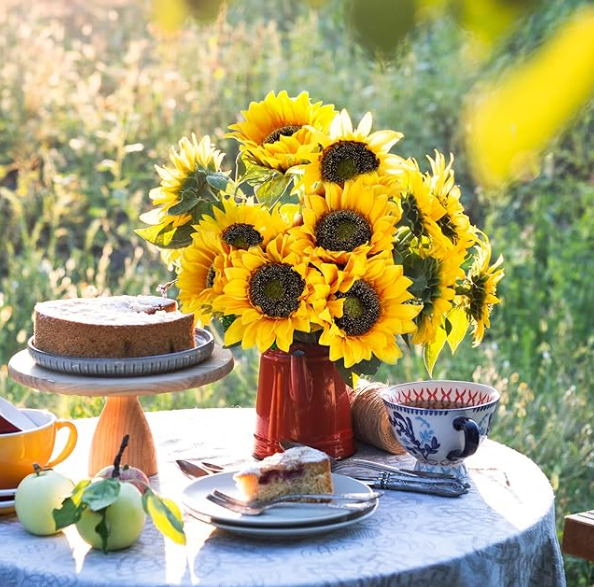해바라기탄생화