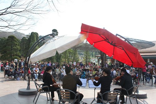 2024 베어트리파크 단풍축제 예매