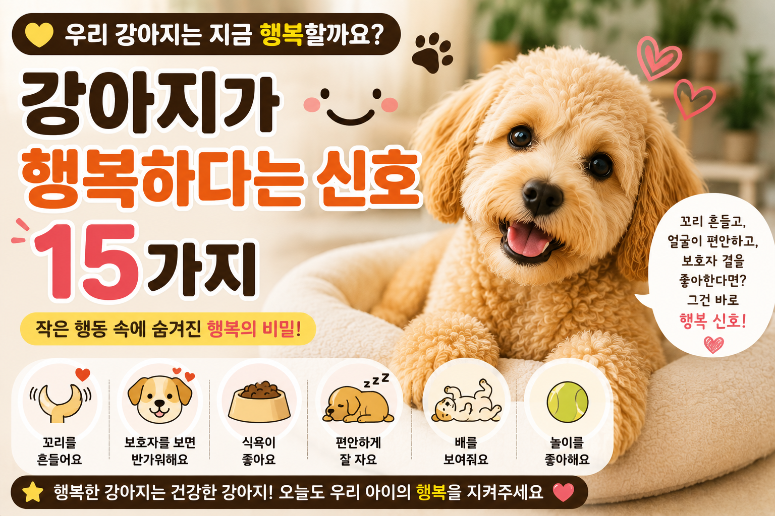 강아지가 행복하다는 신호 15가지|우리 강아지는 지금 행복할까요?