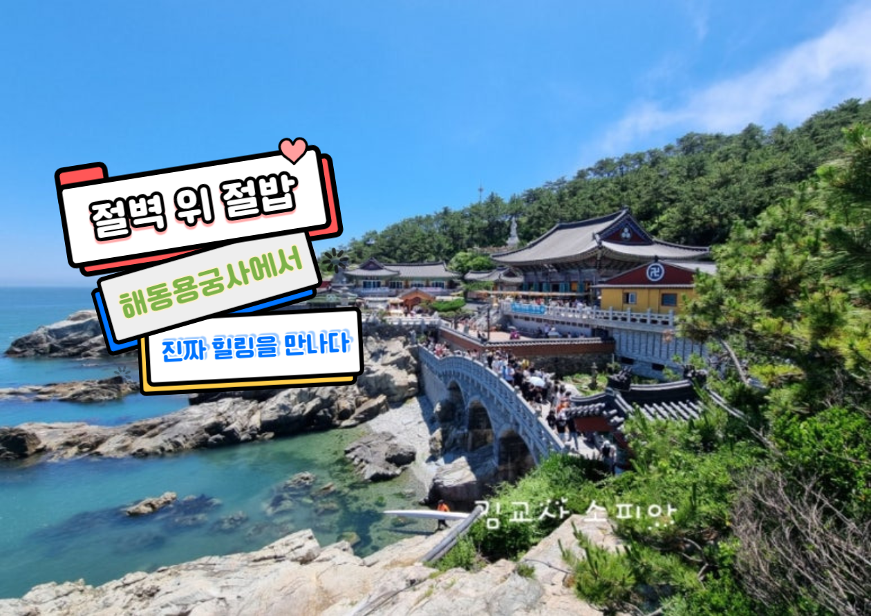 ✨부산 해동용궁사 꿀팁 총정리｜108번뇌, 절밥 공양, 교통정보까지!✨