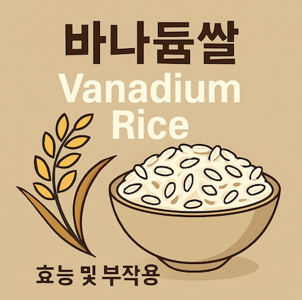 바나듐쌀-효능-부작용