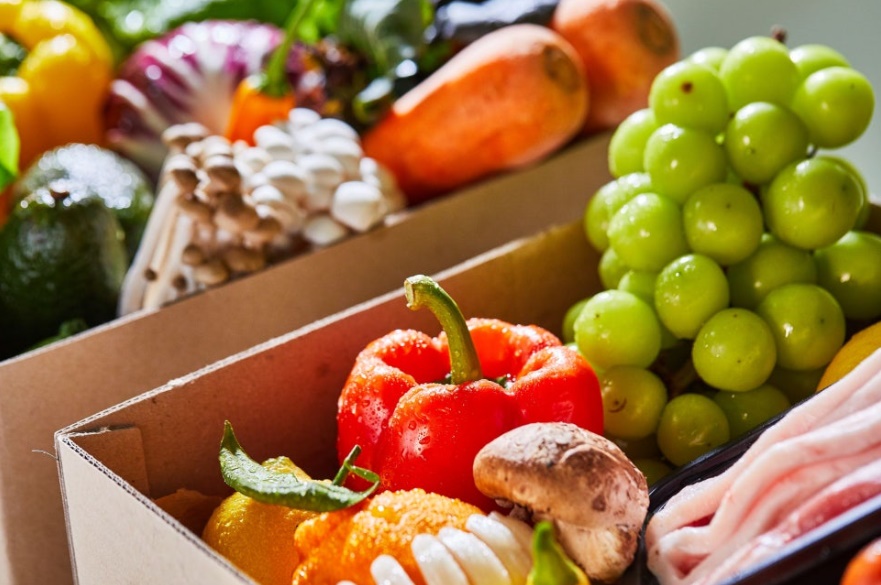 임산부 영양플러스 지원 내용