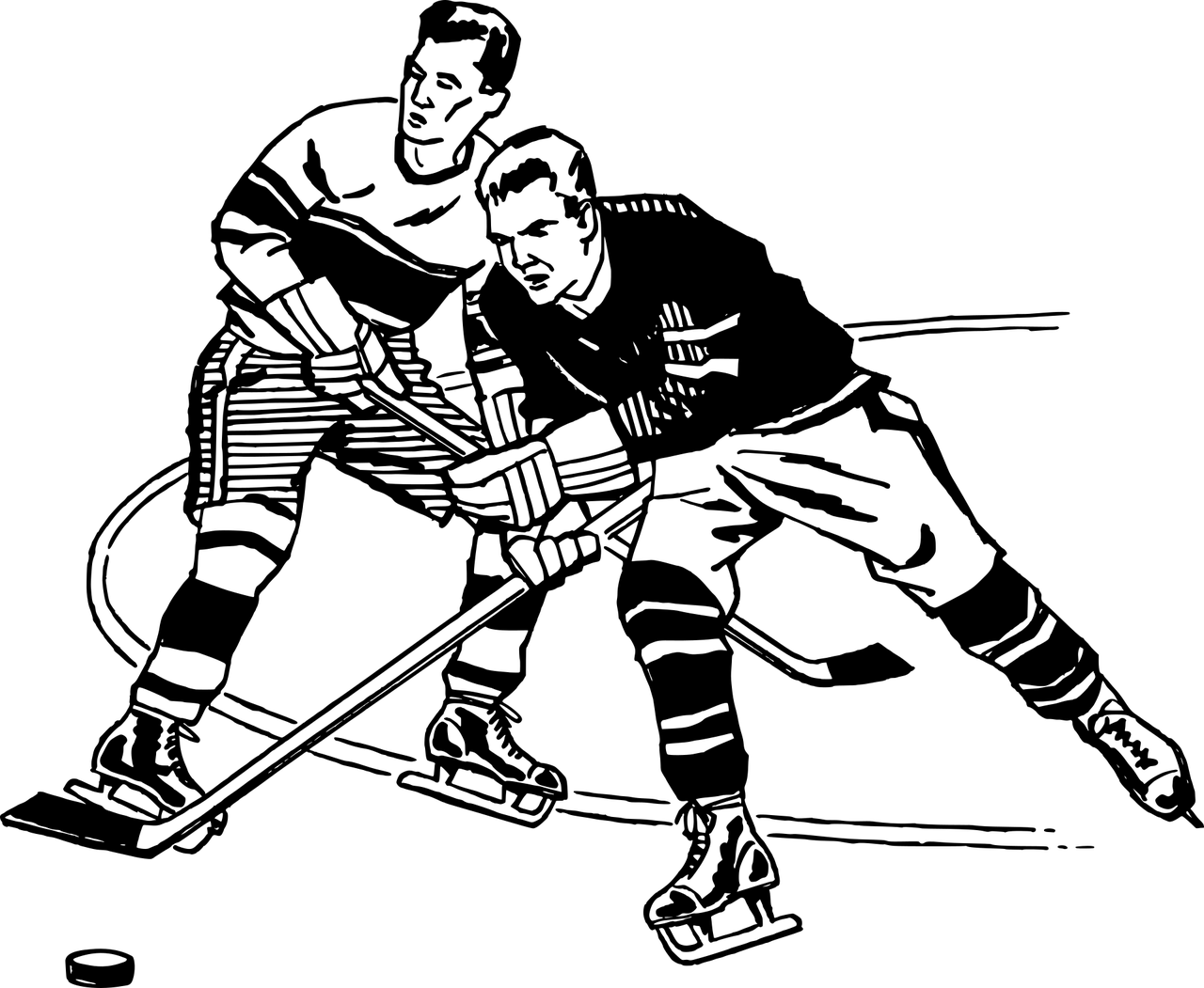 하키 사진