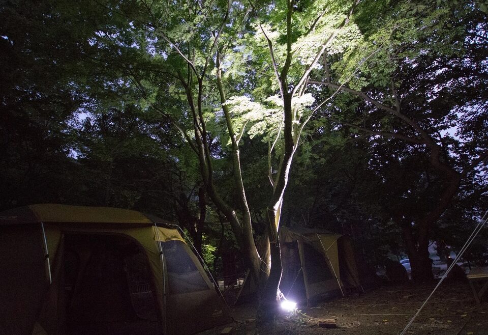 문수골힐링캠핑장 (애견동반가능)