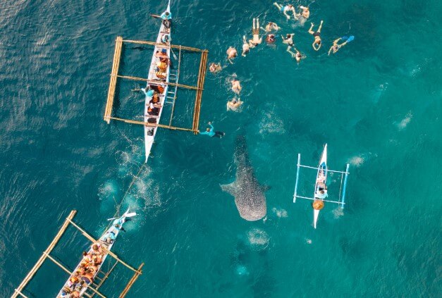 겨울철 따뜻한 해외 여행지