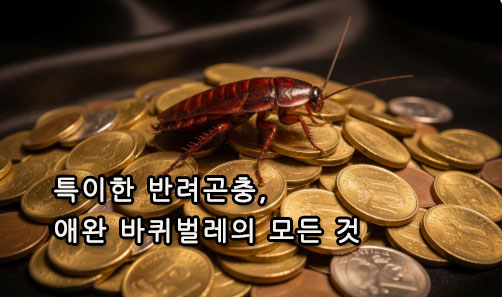 특이한 반려곤충, 애완 바퀴벌레의 모든 것