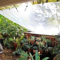 다육식물 장마철 통풍관리 차광망